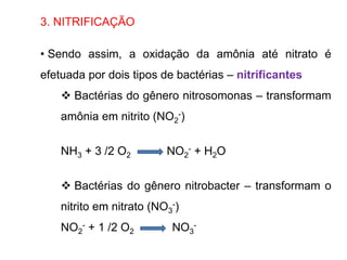 3. NITRIFICAÇÃO
• Sendo assim, a oxidação da amônia até nitrato é
efetuada por dois tipos de bactérias – nitrificantes
 Bactérias do gênero nitrosomonas – transformam
amônia em nitrito (NO2
-)
NH3 + 3 /2 O2 NO2
- + H2O
 Bactérias do gênero nitrobacter – transformam o
nitrito em nitrato (NO3
-)
NO2
- + 1 /2 O2 NO3
-
 
