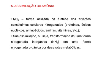 5. ASSIMILAÇÃO DA AMÔNIA
• NH3 – forma utilizada na síntese dos diversos
constituintes celulares nitrogenados (proteínas, ácidos
nucléicos, aminoácidos, aminas, vitaminas, etc.);
• Sua assimilação, ou seja, transformação de uma forma
nitrogenada inorgânica (NH3) em uma forma
nitrogenada orgânica por duas rotas metabólicas:
 