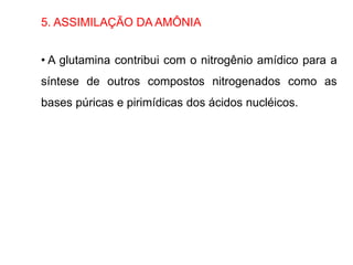 5. ASSIMILAÇÃO DA AMÔNIA
• A glutamina contribui com o nitrogênio amídico para a
síntese de outros compostos nitrogenados como as
bases púricas e pirimídicas dos ácidos nucléicos.
 