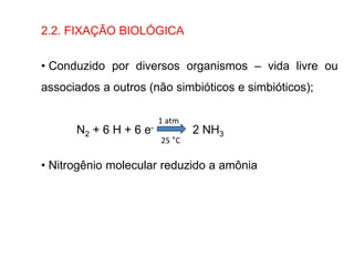 2.2. FIXAÇÃO BIOLÓGICA
• Conduzido por diversos organismos – vida livre ou
associados a outros (não simbióticos e simbióticos);
N2 + 6 H + 6 e- 2 NH3
• Nitrogênio molecular reduzido a amônia
1 atm
25 °C
 