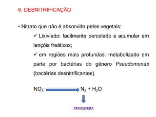 6. DESNITRIFICAÇÃO
• Nitrato que não é absorvido pelos vegetais:
 Lixiviado: facilmente percolado e acumular em
lençóis freáticos;
 em regiões mais profundas: metabolizado em
parte por bactérias do gênero Pseudomonas
(bactérias desnitrificantes).
NO3
- N2 + H2O
ATMOSFERA
 