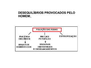 DESEQUILÍBRIOS PROVOCADOS PELO HOMEM :   