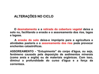      O  desmatamento  e a  retirada da cobertura vegetal  deixa o solo nu, facilitando a erosão e o assoreamento dos rios, lagos e lagoas.       A  erosão do solo  deixa-o impróprio para a agricultura e atividades pastoris e o  assoreamento dos rios  pode provocar enchentes catastróficas. ASSOREAMENTO - "Entupimento" do corpo d'água, ou seja, fenômeno causado pela deposição de sedimentos minerais (como areia e argila) ou de materiais orgânicos. Com isso, diminui a profundidade do curso d'água e a força da correnteza.   ALTERAÇÕES NO CICLO 