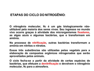 O nitrogênio molecular, N 2  é um gás biologicamente não-utilizável pela maioria dos seres vivos. Seu ingresso no mundo vivo ocorre graças à atividade dos microrganismos  fixadores , as algas azuis e algumas bactérias, que o transformam em amônia.  No processo de  nitrificação , outras bactérias transformam a amônia em nitritos e nitratos.  Essas três substâncias são utilizadas pelos vegetais para a elaboração de compostos orgânicos nitrogenados que serão aproveitados pelos animais.  O ciclo fecha-se a partir da atividade de certas espécies de bactérias, que efetuam a  denitrificação  e devolvem o nitrogênio molecular ,  N 2  para a atmosfera.  ETAPAS DO CICLO DO NITROGÊNIO: 