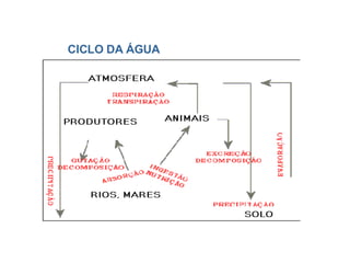 CICLO DA ÁGUA 