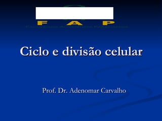 Ciclo e divisão celular Prof. Dr. Adenomar Carvalho 