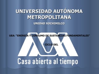 UNIVERSIDAD AUTÓNOMA METROPOLITANA UNIDAD XOCHIMILCO UEA: “ENERGÍA Y CONSUMO DE SUSTANCIAS FUNDAMENTALES” CICLO DEL 