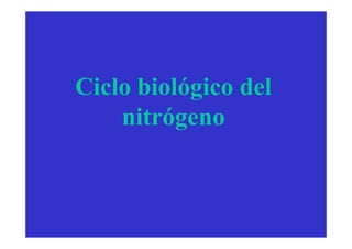 Ciclo biológico del
    nitrógeno
 
