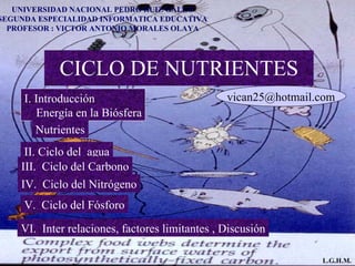 CICLO DE NUTRIENTES UNIVERSIDAD NACIONAL PEDRO RUIZ GALLO SEGUNDA ESPECIALIDAD INFORMATICA EDUCATIVA PROFESOR : VICTOR ANTONIO MORALES OLAYA [email_address] I. Introducción  Energía en la Biósfera II. Ciclo del  agua III.  Ciclo del Carbono IV.  Ciclo del Nitrógeno V.  Ciclo del Fósforo VI.  Inter relaciones, factores limitantes , Discusión Nutrientes L.G.H.M. 