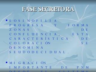 FASE SECRETORA ,[object Object],[object Object],[object Object]