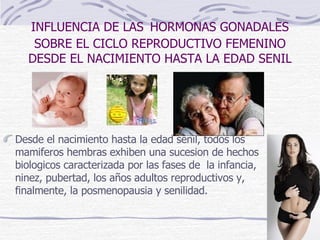 INFLUENCIA DE LAS   HORMONAS GONADALES SOBRE EL CICLO REPRODUCTIVO FEMENINO DESDE EL NACIMIENTO HASTA LA EDAD SENIL Desde el nacimiento hasta la edad senil, todos los mamiferos hembras exhiben una sucesion de hechos biologicos caracterizada por las fases de  la infancia, ninez, pubertad, los años adultos reproductivos y, finalmente, la posmenopausia y senilidad. 