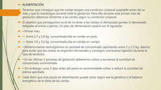  ALIMENTACIÓN
 Tenemos que conseguir que las cerdas tengan una condición corporal aceptable antes de un
mes y que lo mantengan durante toda la gestación. Para ello durante este primer mes de
gestación debemos alimentar a las cerdas según su condición corporal.
 El objetivo que perseguimos es el de no tener a las cerdas ni demasiado gordas ni demasiado
delgadas al entrar a partos. Un plan de alimentación podría ser el siguiente:
 • Primer mes.
 — Entre 2,7 y 2,8 kg. concentrado/día en cerdas en jaula
 — Entre 3,0 y 3,2 kg. concentrado/día en cerdas en campo
 • Posteriormente restringiremos la cantidad de concentrado (aportando entre 2 y 2,5 Kg. diarios)
para evitar que las cerdas se engorden demasiado y conseguir una buena ingestión durante la
fase de lactación.
 • En las últimas 3 semanas de gestación deberemos volver a aumentar la cantidad de
concentrado suministrada.
 • Sin embargo, unos 5 días antes del parto es recomendable volver a reducir la cantidad de
pienso aportada.
 Cabe decir que esta pauta de alimentación puede variar según sea la genética o el balance
energético de la dieta de las cerdas.
 
