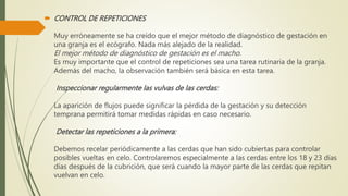  CONTROL DE REPETICIONES
Muy erróneamente se ha creído que el mejor método de diagnóstico de gestación en
una granja es el ecógrafo. Nada más alejado de la realidad.
El mejor método de diagnóstico de gestación es el macho.
Es muy importante que el control de repeticiones sea una tarea rutinaria de la granja.
Además del macho, la observación también será básica en esta tarea.
Inspeccionar regularmente las vulvas de las cerdas:
La aparición de flujos puede significar la pérdida de la gestación y su detección
temprana permitirá tomar medidas rápidas en caso necesario.
Detectar las repeticiones a la primera:
Debemos recelar periódicamente a las cerdas que han sido cubiertas para controlar
posibles vueltas en celo. Controlaremos especialmente a las cerdas entre los 18 y 23 días
días después de la cubrición, que será cuando la mayor parte de las cerdas que repitan
vuelvan en celo.
 