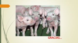 GRACIAS…
 