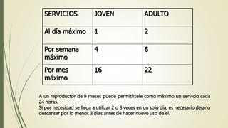 SERVICIOS JOVEN ADULTO
Al día máximo 1 2
Por semana
máximo
4 6
Por mes
máximo
16 22
A un reproductor de 9 meses puede permitírsele como máximo un servicio cada
24 horas.
Si por necesidad se llega a utilizar 2 o 3 veces en un solo día, es necesario dejarlo
descansar por lo menos 3 días antes de hacer nuevo uso de el.
 