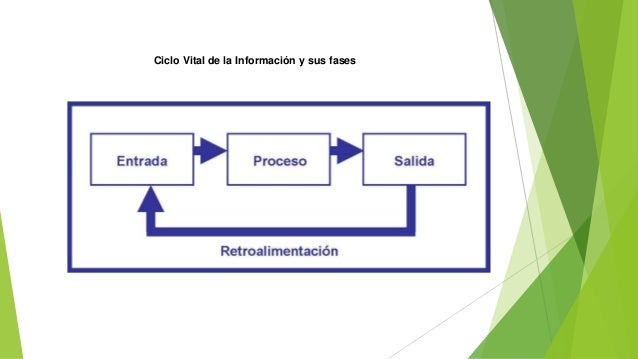Ciclo vital de la informacion y sus fases