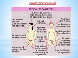 ciclo vital de la niñez y la adolescencia | PPTX