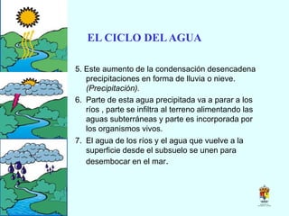 EL CICLO DELAGUA
5. Este aumento de la condensación desencadena
precipitaciones en forma de lluvia o nieve.
(Precipitación).
6. Parte de esta agua precipitada va a parar a los
ríos , parte se infiltra al terreno alimentando las
aguas subterráneas y parte es incorporada por
los organismos vivos.
7. El agua de los ríos y el agua que vuelve a la
superficie desde el subsuelo se unen para
desembocar en el mar.
 
