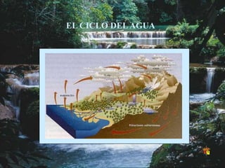 EL CICLO DELAGUA
 