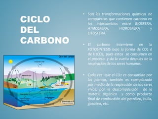 • Son las transformaciones químicas de
compuestos que contienen carbono en
los intercambios entre BIOSFERA,
ATMOSFERA, HIDROSFERA y
LITOSFERA.
• El carbono interviene en la
FOTOSINTESIS bajo la forma de CO2 ó
de H2CO3, pues estos se consumen en
el proceso y da la vuelta después de la
respiración de los seres humanos .
• Cada vez que el CO2 es consumido por
las plantas, también es reemplazado
por medio de la respiración de los seres
vivos, por la descomposición de la
materia orgánica y como producto
final de combustión del petróleo, hulla,
gasolina, etc.
CICLO
DEL
CARBONO
 