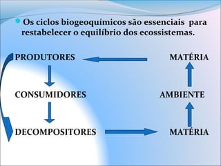 Os ciclos biogeoquímicos são essenciais para
restabelecer o equilíbrio dos ecossistemas.
PRODUTORES MATÉRIA
CONSUMIDORES AMBIENTE
DECOMPOSITORES MATÉRIA
 