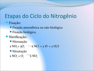 Etapas do Ciclo do Nitrogênio
Fixação:
Fixação atmosférica ou não-biológica
Fixação biológica.
Nitrificação:
Nitrosação
2 NH4+ 3O2 2 NO2 + 2 H+
+ 2 H2O
Nitratação
2 NO2 + O2 2 NO3
 