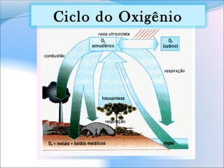 Ciclo do Oxigênio
 
