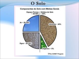 O Solo
 