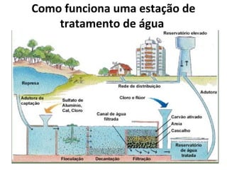 Como funciona uma estação de 
tratamento de água 
 