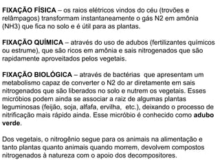 FIXAÇÃO FÍSICA – os raios elétricos vindos do céu (trovões e 
relâmpagos) transformam instantaneamente o gás N2 em amônia 
(NH3) que fica no solo e é útil para as plantas. 
FIXAÇÃO QUÍMICA – através do uso de adubos (fertilizantes químicos 
ou estrume), que são ricos em amônia e sais nitrogenados que são 
rapidamente aproveitados pelos vegetais. 
FIXAÇÃO BIOLÓGICA – através de bactérias que apresentam um 
metabolismo capaz de converter o N2 do ar diretamente em sais 
nitrogenados que são liberados no solo e nutrem os vegetais. Esses 
micróbios podem ainda se associar a raiz de algumas plantas 
leguminosas (feijão, soja, alfafa, ervilha, etc.), deixando o processo de 
nitrificação mais rápido ainda. Esse micróbio é conhecido como adubo 
verde. 
Dos vegetais, o nitrogênio segue para os animais na alimentação e 
tanto plantas quanto animais quando morrem, devolvem compostos 
nitrogenados à natureza com o apoio dos decompositores. 
 