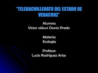 “ TELEBACHILLERATO DEL ESTADO DE VERACRUZ” Alumno: Víctor olduvi Osorio Prado  Materia: Ecología Profesor: Lucio Rodríguez Arias  