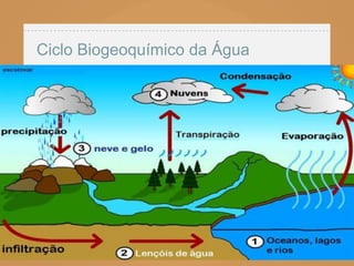 Ciclo Biogeoquímico da Água
 