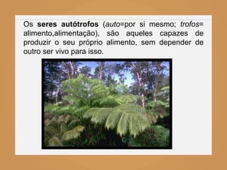 Os seres autótrofos (auto=por si mesmo; trofos=
alimento,alimentação), são aqueles capazes de
produzir o seu próprio alimento, sem depender de
outro ser vivo para isso.
 