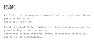  El carbono se encuentra en estado gaseoso, como dióxido de carbono, en la atmosfera
y disuelto en el agua de los océanos, de donde es captado por los productores.
 El carbono pasa, desde los productores, al resto de los seres vivos con los alimentos.
La respiración y la putrefacción de los organismos devuelven el dióxido de carbono a la
atmósfera, y se acumula allí. Pero las plantas pueden volverlo a captar a través de la
fotosíntesis, y de esa manera el dióxido de carbono(molécula inorgánica) se convierte
en una molécula orgánica.
 