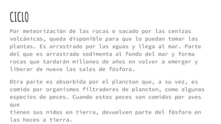  Cuando la descomposición de materia orgánica se produce en zonas
sin oxígeno, como pantanos y turberas, esta puede convertirse en
carbón, petróleo o gas natural. Cuando estos combustibles arden, el
carbono vuelve, en grandes cantidades, a la atmosfera en forma de
dióxido de carbono.
 Plantas y animales perdemos restos (pelos, pieles, hojas muertas…),
los cuales son fuentes de carbono que serán transformadas. Estas
fuentes o bien se van hacia la atmósfera, o a suelos y mares. En el
caso de que vayan a este último lugar, pueden ser aprovechadas
nuevamente por las plantas.
 Todo esto es un proceso natural que lo que hace es subir la cantidad
de carbono que se libera a la atmosfera.
 