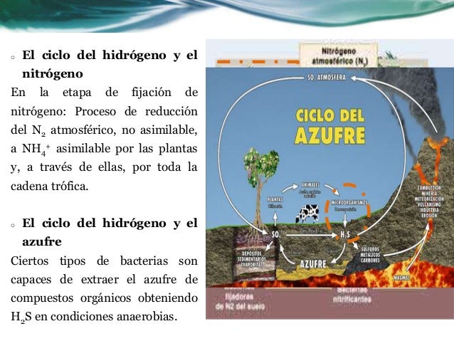cicños biogeoquimicos (agua, hidrogeno , oxigeno , azufre )