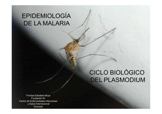 EPIDEMIOLOGÍA
  DE LA MALARIA




                                     CICLO BIOLÓGICO
                                     DEL PLASMODIUM

      Trinidad Sabalete Moya
            Fundación IO
Centro de Enfermedades Infecciosas
        y Salud Internacional
              Granada
 