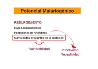 Potencial Malariogénico

RESURGIMIENTO
Nivel socioeconómico
Poblaciones de Anofelinos
Gametocitos circulantes en la población



           Vulnerabilidad            Infectividad
                                    Receptividad
 