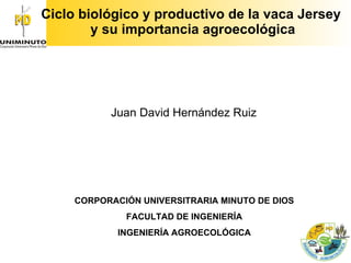 Ciclo biológico y productivo de la vaca Jersey  y su importancia agroecológica Juan David Hernández Ruiz CORPORACIÓN UNIVERSITRARIA MINUTO DE DIOS FACULTAD DE INGENIERÍA INGENIERÍA AGROECOLÓGICA 