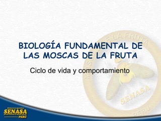 BIOLOGÍA FUNDAMENTAL DE
LAS MOSCAS DE LA FRUTA
Ciclo de vida y comportamiento
 