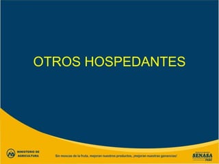 OTROS HOSPEDANTES
 