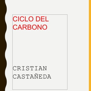 CICLO DEL
CARBONO
CRISTIAN
CASTAÑEDA
 