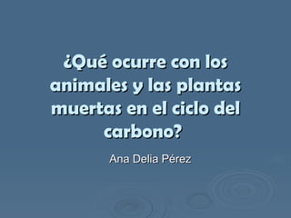 ¿Qué ocurre con los animales y las plantas muertas en el ciclo del carbono?   Ana Delia Pérez 