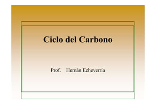 Ciclo del Carbono 
Prof. Hernán Echeverría 
 