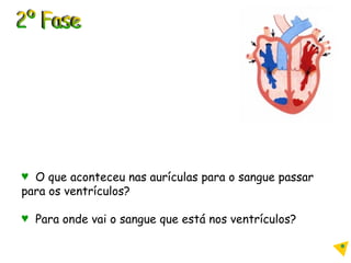 2º Fase O que aconteceu nas aurículas para o sangue passar para os ventrículos? Para onde vai o sangue que está nos ventrículos? 