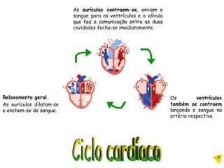 Relaxamento geral. As aurículas dilatam-se e enchem-se de sangue. As  aurículas contraem-se , enviam o sangue para os ventrículos e a válvula que faz a comunicação entre as duas cavidades fecha-se imediatamente. Os  ventrículos também se contraem  lançando o sangue na artéria respectiva. Ciclo cardíaco 