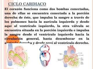 CICLO CARDIACO El corazón funciona como dos bombas conectadas, una de ellas se encuentra conectada a la porción derecha de éste, que impulsa la sangre a través de los pulmones hacia la aurícula izquierda y desde aquí al ventrículo izquierdo, la otra válvula se encuentra situada en la porción izquierda e impulsa la sangre desde el ventrículo izquierdo hacia la circulación general, hasta desembocar en la aurícula derecha y desde aquí al ventrículo derecho. 