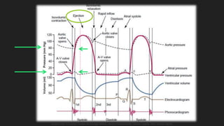 Guyton y Hall. El Corazón. Tratado de Fisiología Médica, Decimo Tercera Edición. Elsevier. España. 2016. (versión digital).
 