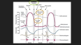 Guyton y Hall. El Corazón. Tratado de Fisiología Médica, Decimo Tercera Edición. Elsevier. España. 2016. (versión digital).
 