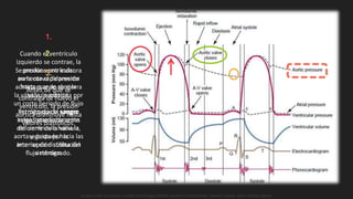 1.
Cuando el ventrículo
izquierdo se contrae, la
presión ventricular
aumenta rápidamente
hasta que se abre la
válvula aórtica.
Permite que la sangre
salga inmediatamente
del ventrículo hacia la
aorta y después hacia las
arterias de distribución
sistémica.
2.
Se produce una incisura
en la curva de presión
aórtica cuando se cierra
la válvula; producida por
un corto período de flujo
retrógrado de sangre
inmediatamente antes
del cierre de la válvula,
seguido por la
interrupción súbita del
flujo retrógrado.
3.
Antes de que se
contraiga de nuevo el
ventrículo, la presión
aórtica disminuye hasta
valores diastólicos.
Guyton y Hall. El Corazón. Tratado de Fisiología Médica, Decimo Tercera Edición. Elsevier. España. 2016. (versión digital).
 